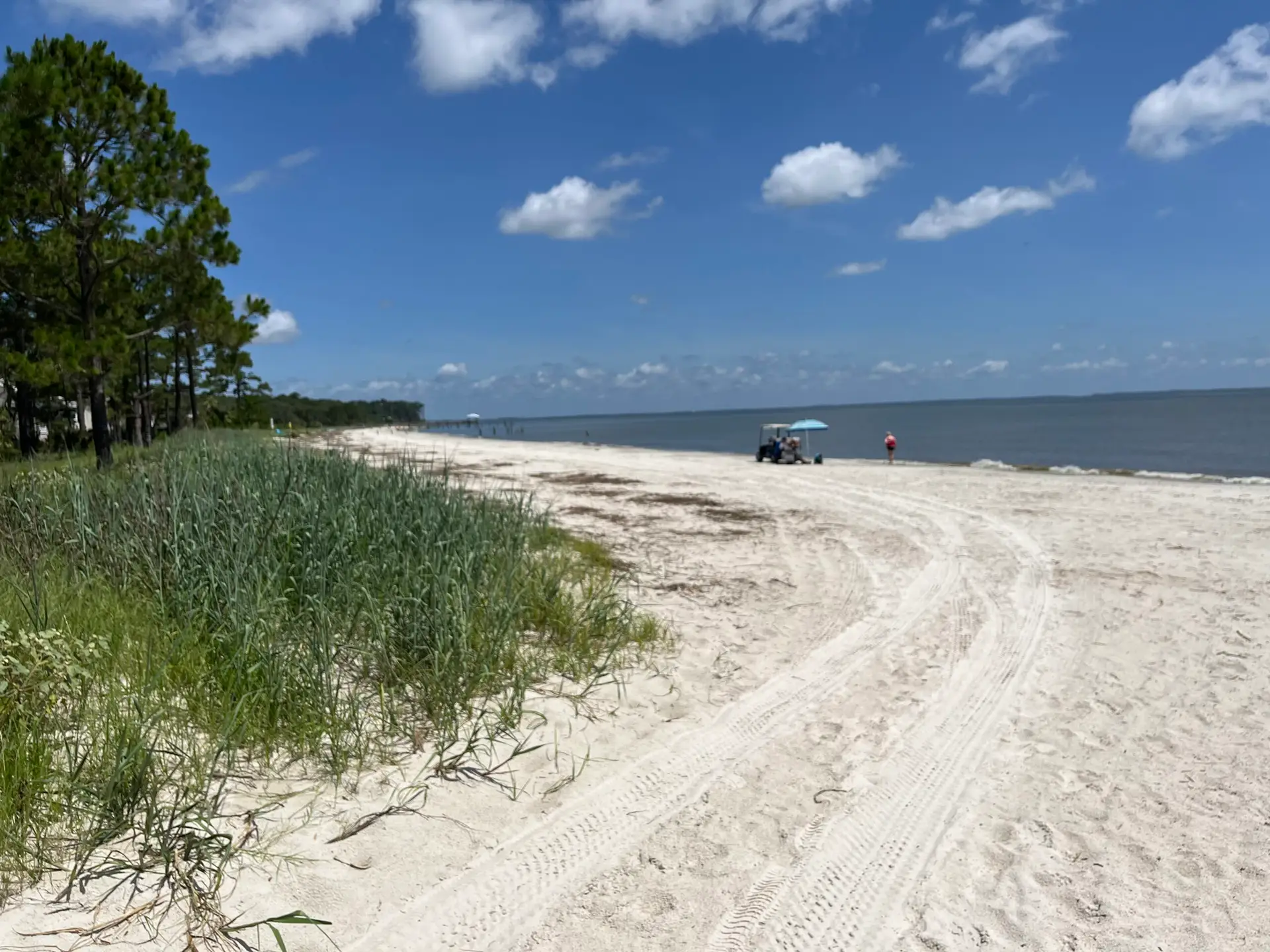 Beaufort-area imagery for the Distant Island community guide