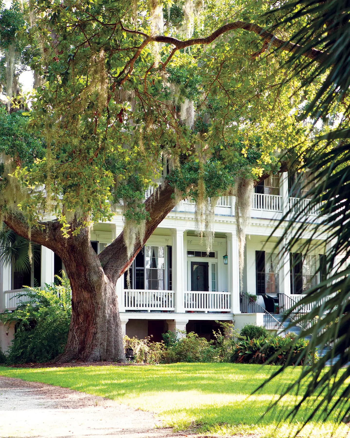 Beaufort area — photo